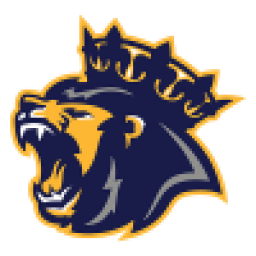 �ʹ������