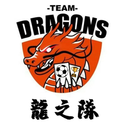 宁波优康龍之隊logo